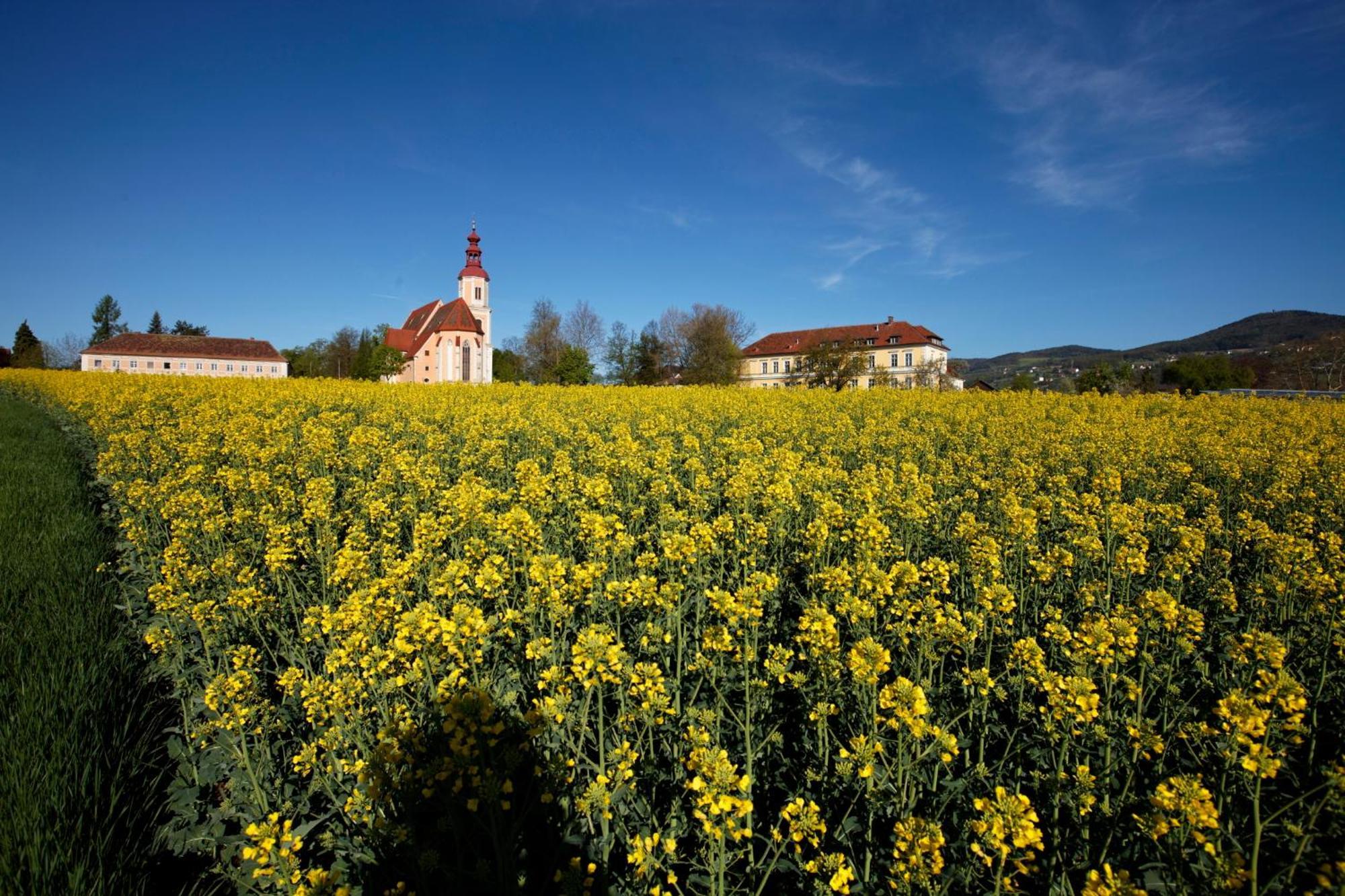 Gasthof Pack "Zur Lebing Au" Hartberg Buitenkant foto